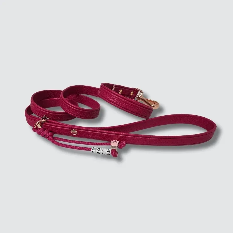 LabArt Dog Soft Touch Guinzaglio Ecopelle Effetto Cervo