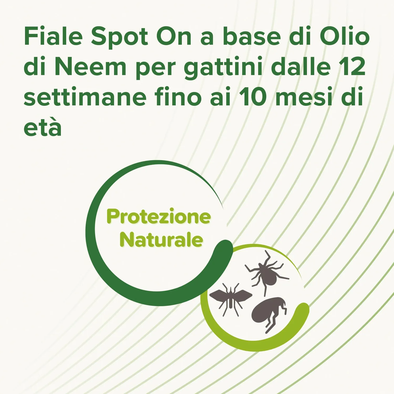 Beaphar Protezione Naturale Spot-On Gattino 3x2 ml
