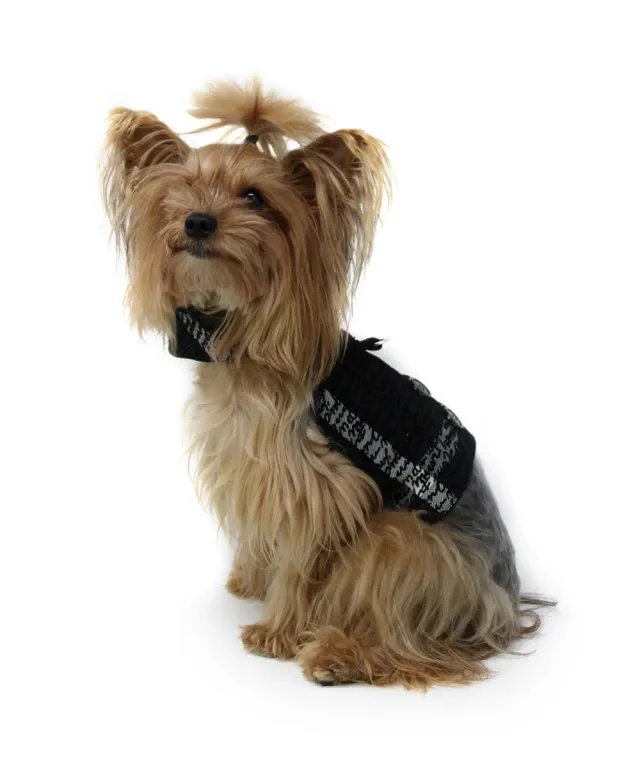 Royal Dog Words Boy pettorina per cani in cotone