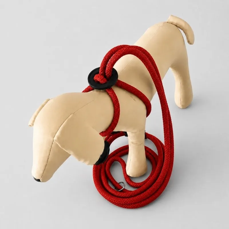 LabArt Dog EasyStride guinzaglio corda rosso 10 mm