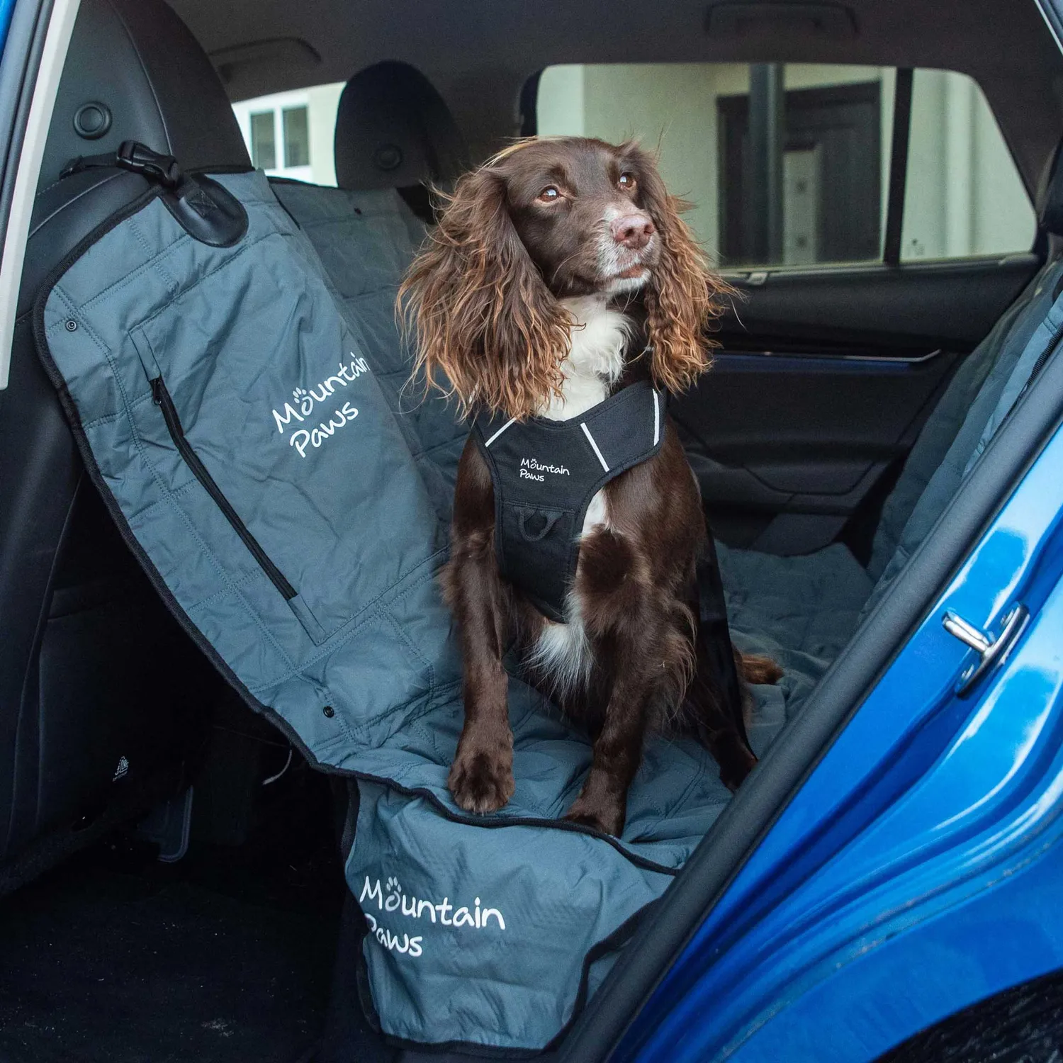 Mountain Paws Telo Coprisedile Auto Cane Posteriore Antiscivolo