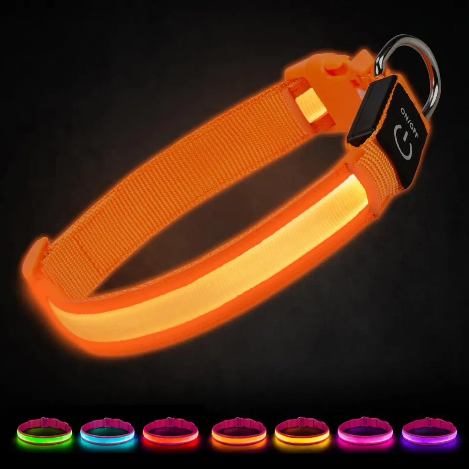 Joytale Collare LED per Cani Arancione M 38-50 cm Ricaricabile