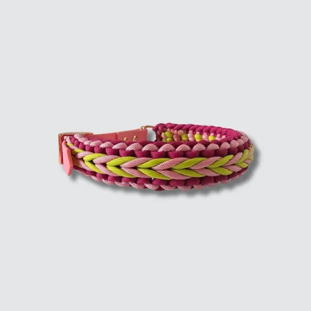 LabArt Dog Little Benjamin collare regolabile paracord