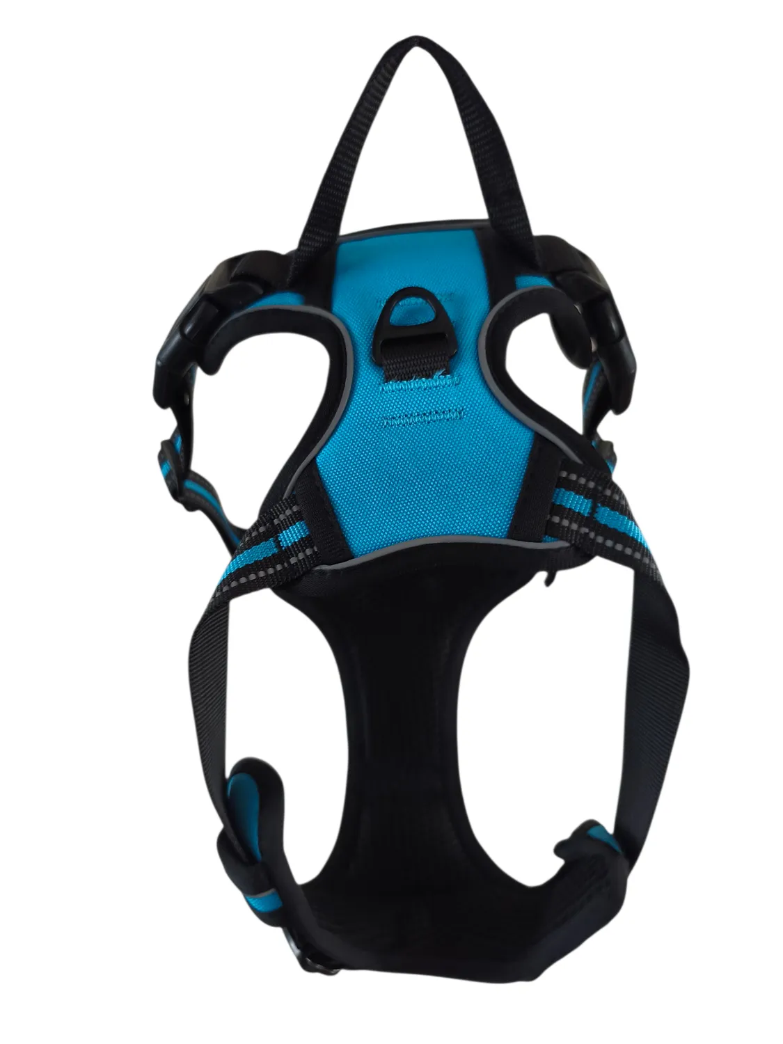 Anja for Dogs Comfort pettorina azzurra imbottita