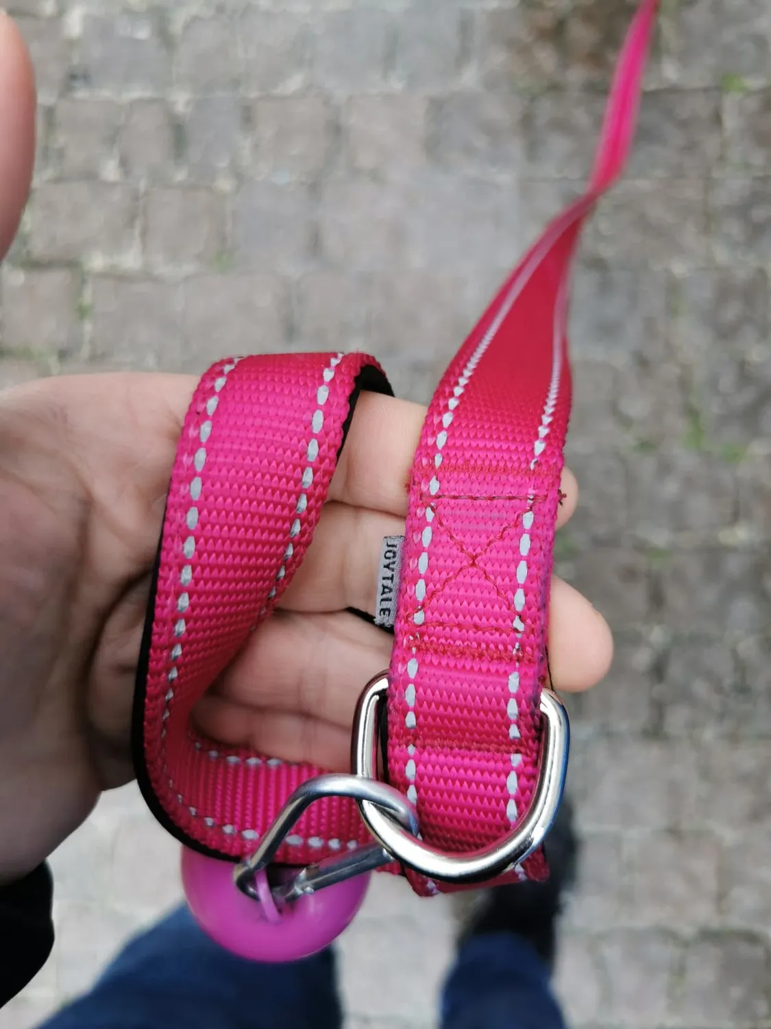 Joytale Guinzaglio Catarifrangente Turchese 1,8 m x 2,5 cm Imbottito
