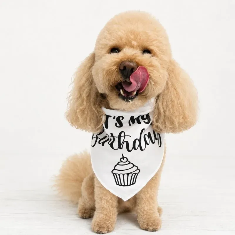 LabArt Dog bandana per cani personalizzabile con nome