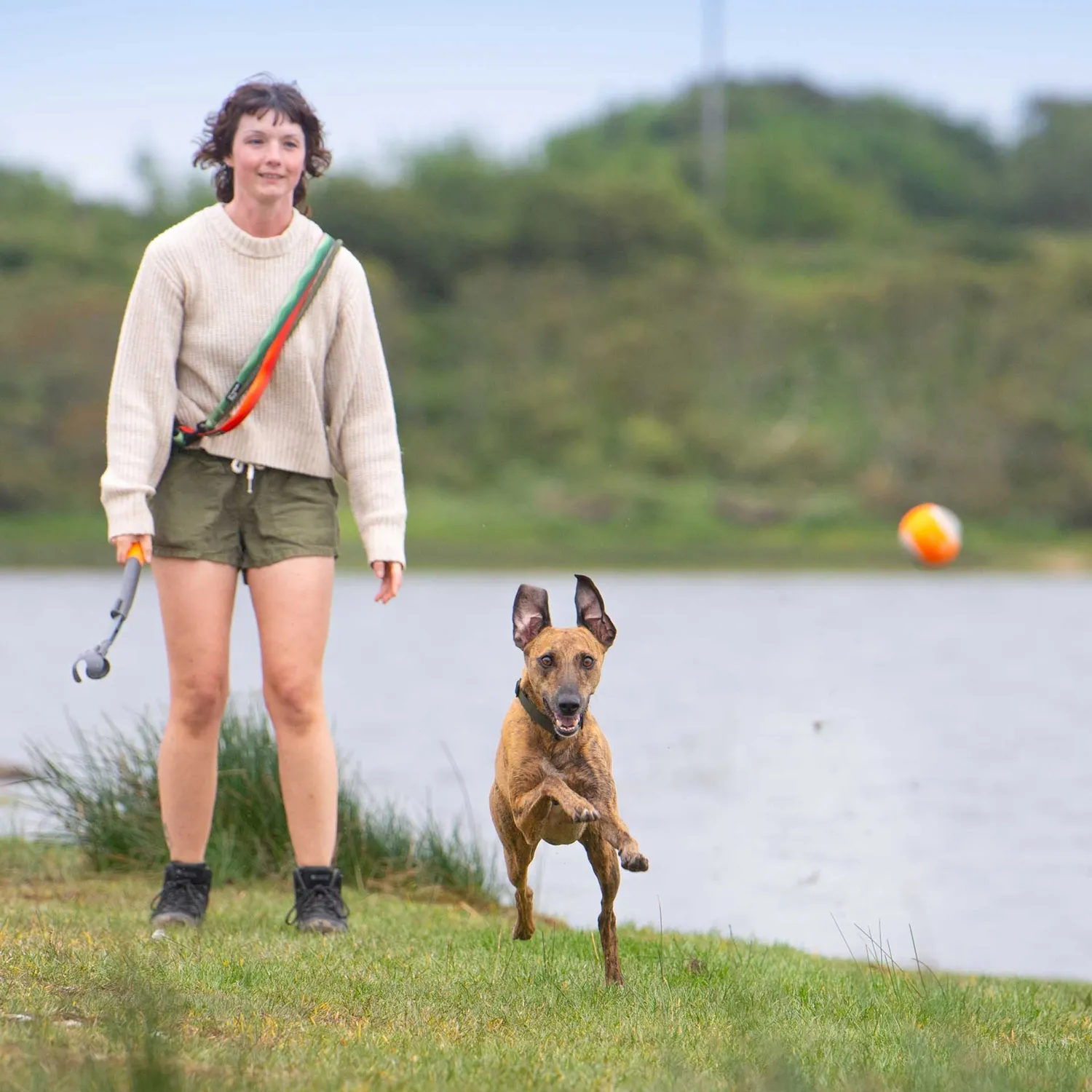 Mountain Paws lanciapalla cane telescopico con pallina