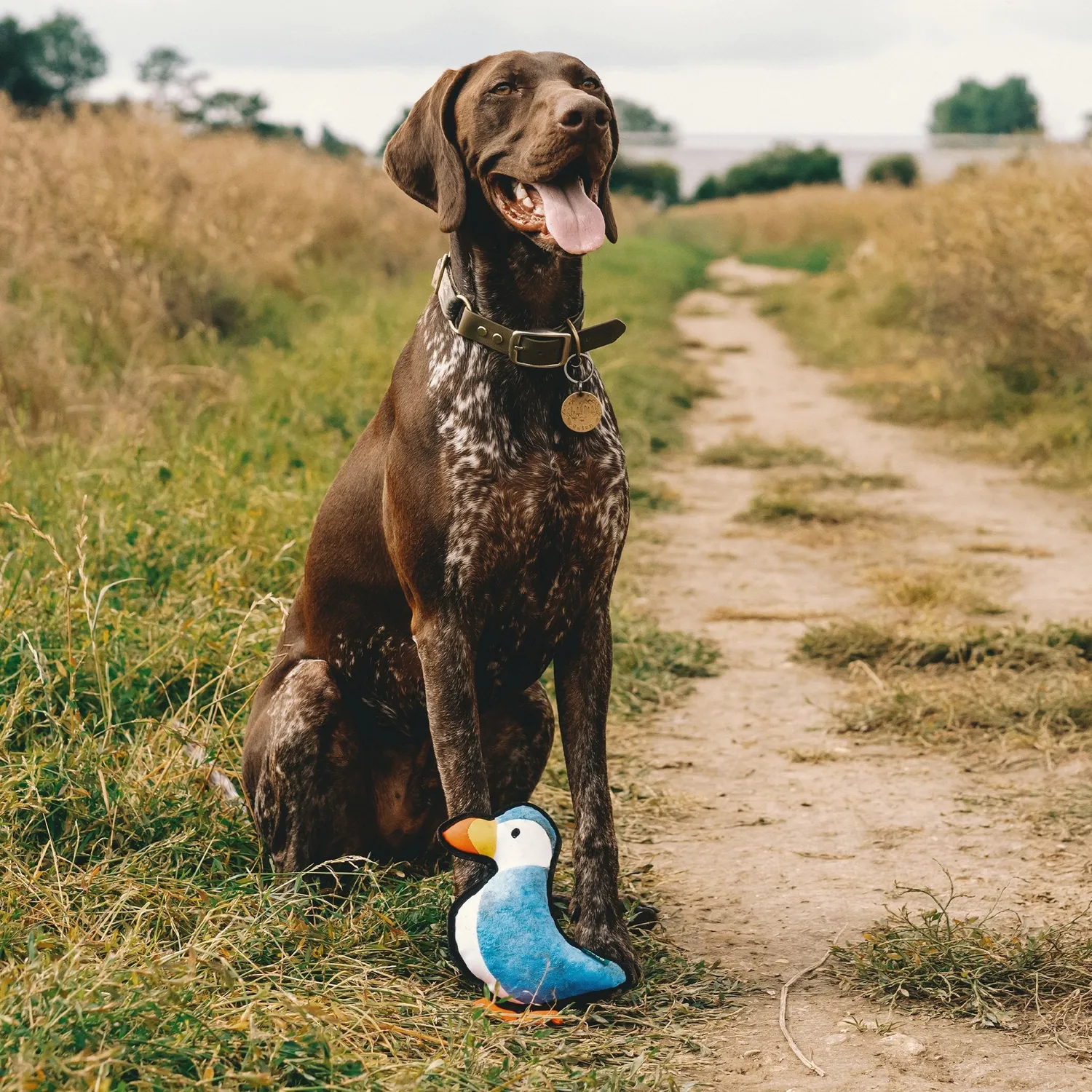 Beco Pets Puffin peluche cane resistente riciclato