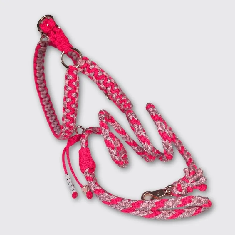 LabArt Dog Treccia 6 fili Cortina guinzaglio paracord