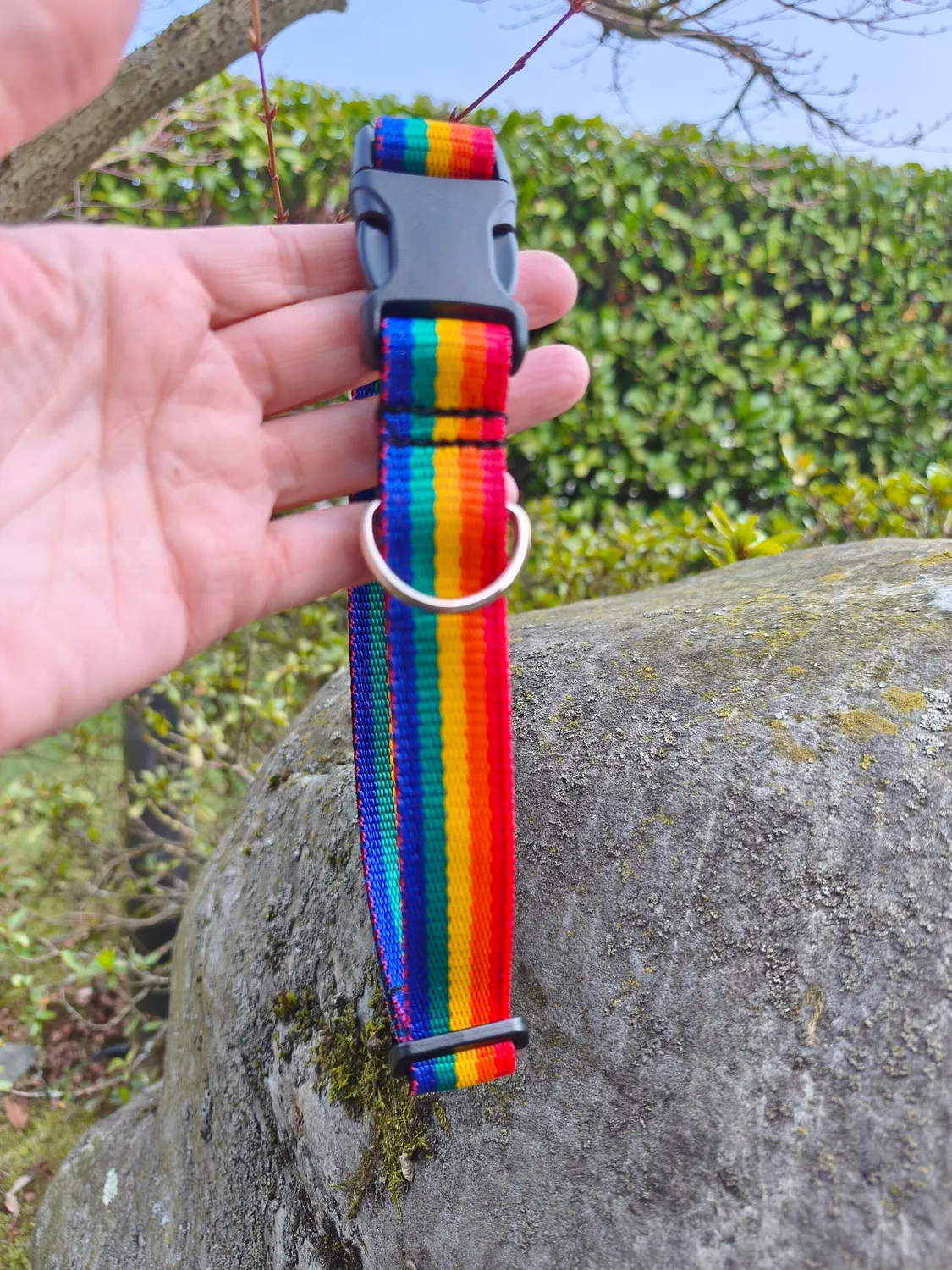 Anja for Dogs Rainbow collare regolabile 40-65 cm