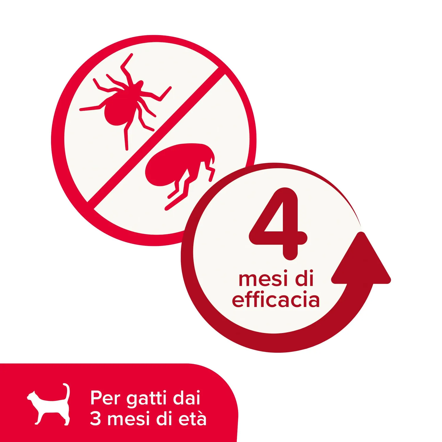 Beaphar Diazitec Collare Gatto 35 cm Rosso 4 Mesi