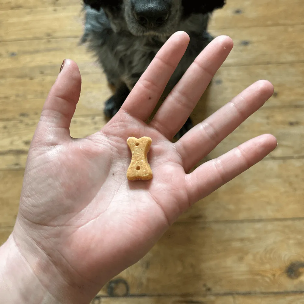 Beco Pets Cashew biscotti cane anacardi carota tascabili