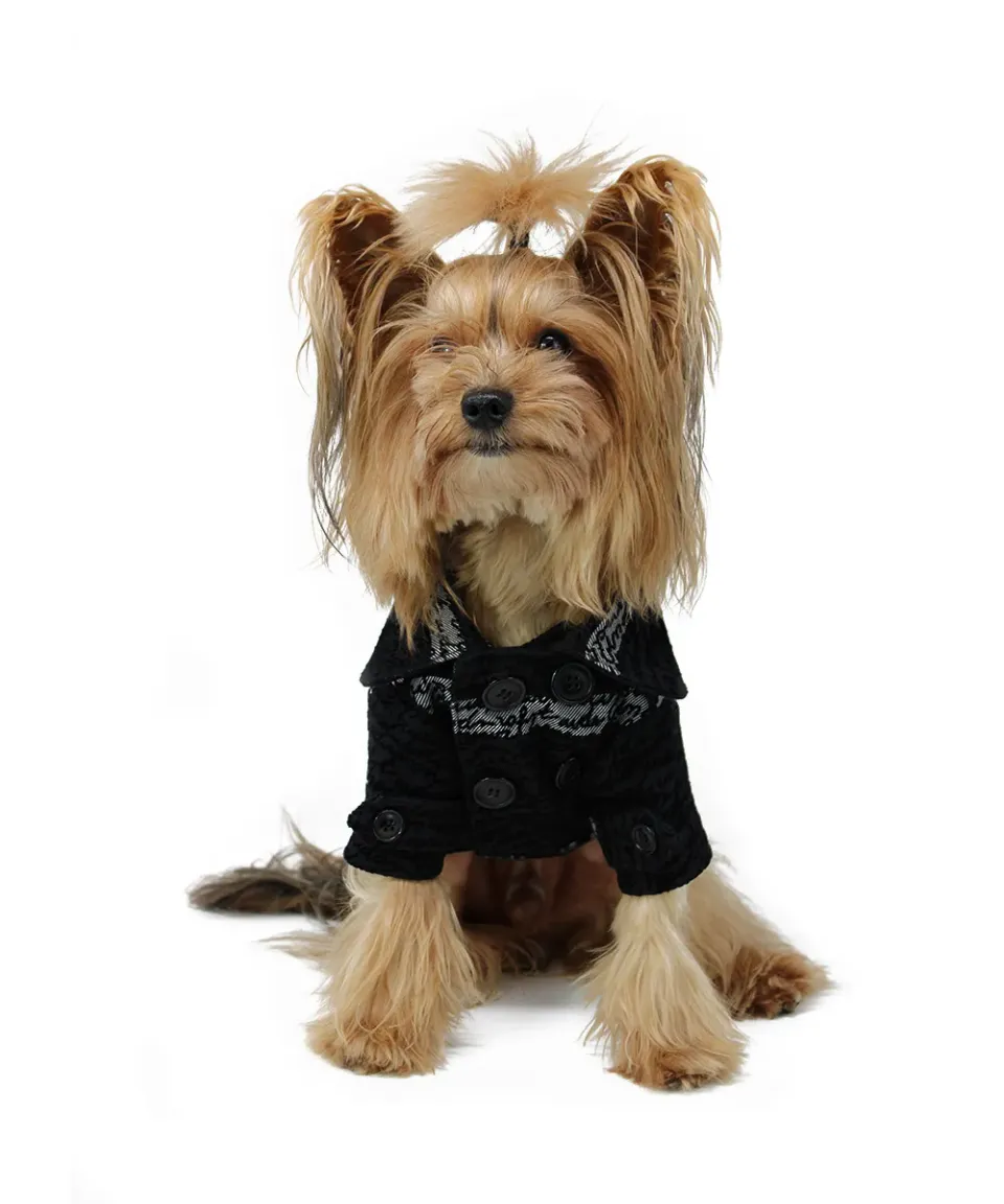 Royal Dog Words Boy trench cane maschio antipioggia