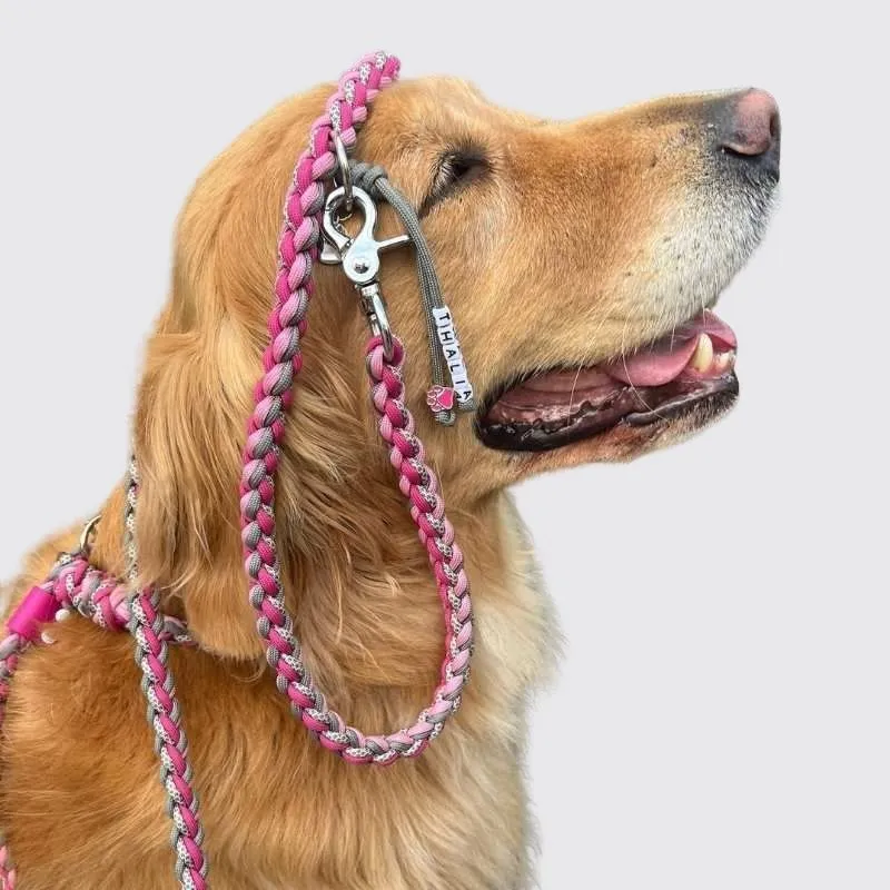 LabArt Dog Retriever 8 fili guinzaglio Nerano paracord