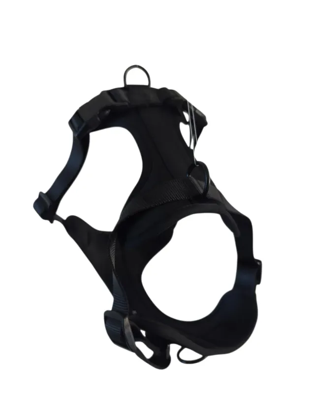 Anja for Dogs Star pettorina nera imbottita