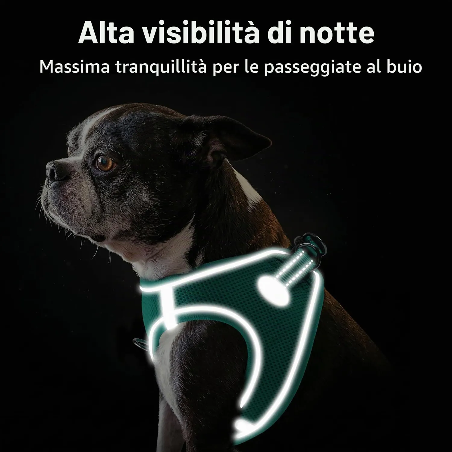Joytale pettorina cane verde acqua S traspirante anti-soffoco