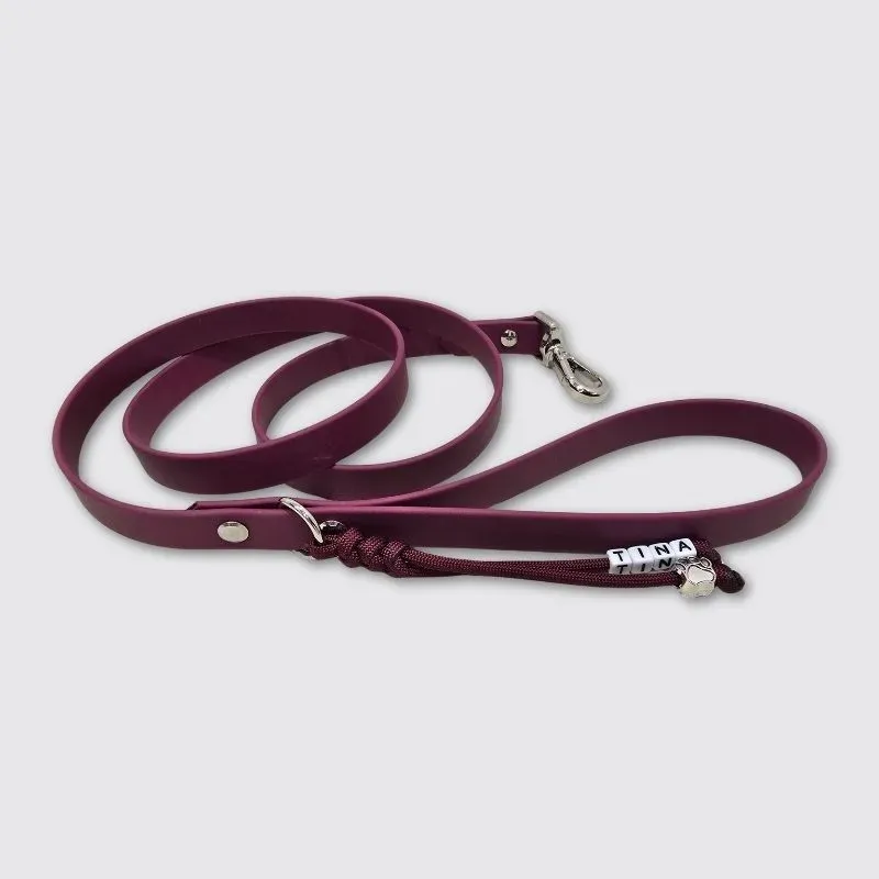 LabArt Dog Biothane guinzaglio impermeabile