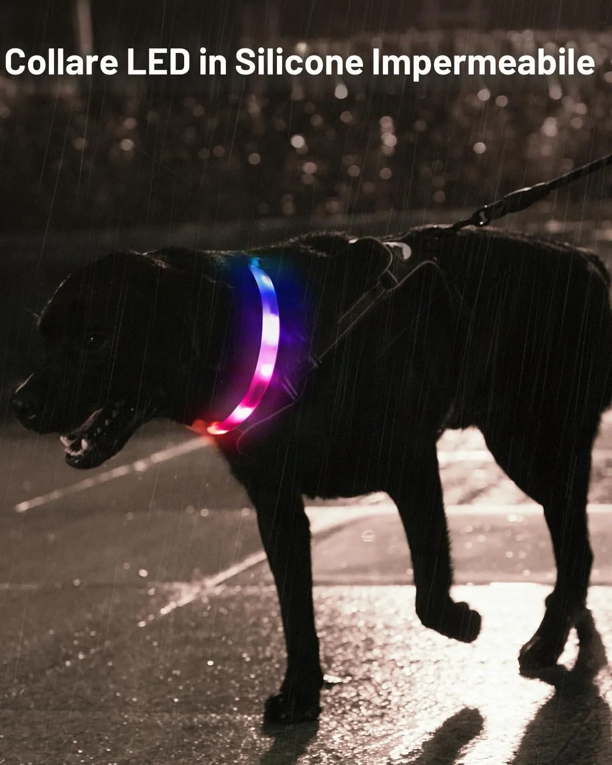 Joytale Luminoso collare LED 70 cm tagliabile silicone