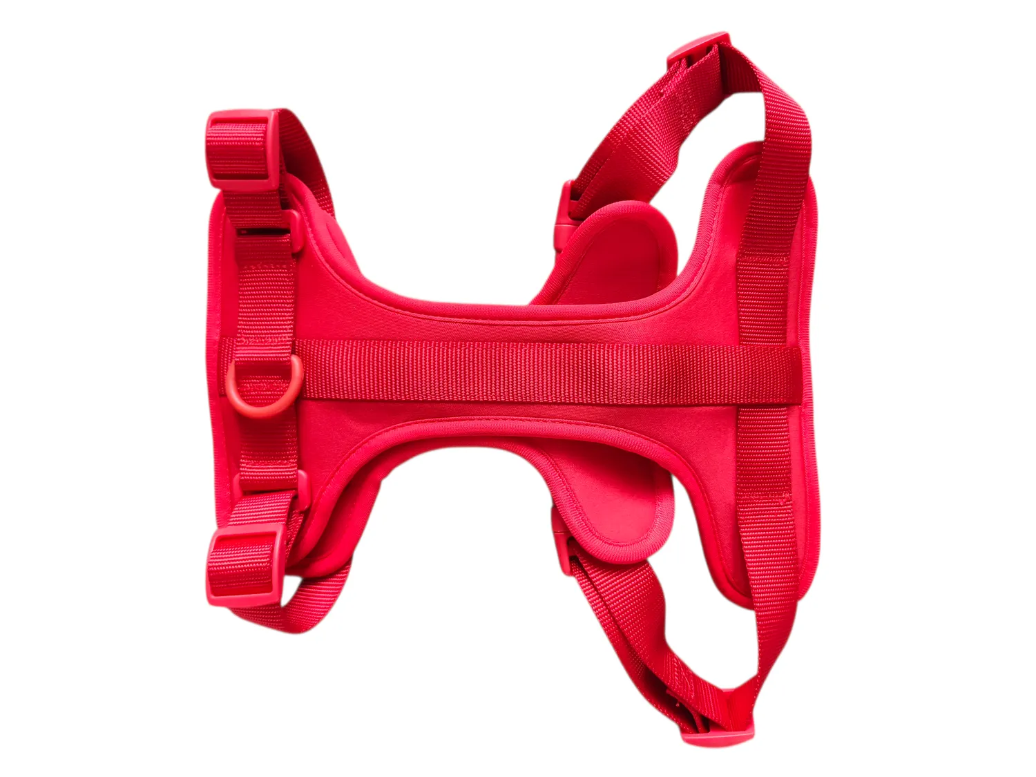 Anja for Dogs Star pettorina rossa imbottita regolabile