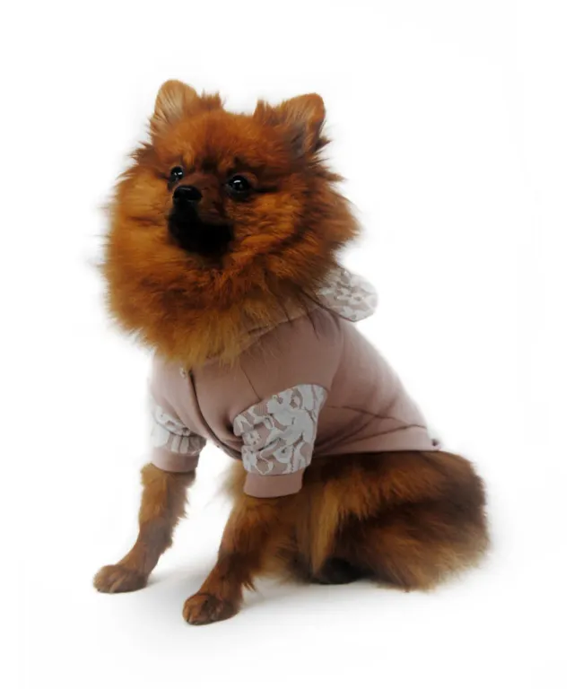 Royal Dog Elegante felpa cane rosa antico pizzo S-XXL