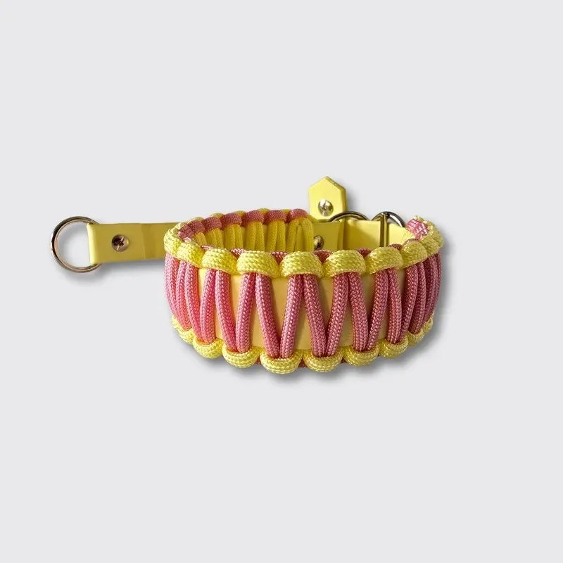 LabArt Dog Retriever Biopar collare Tokyo martingale