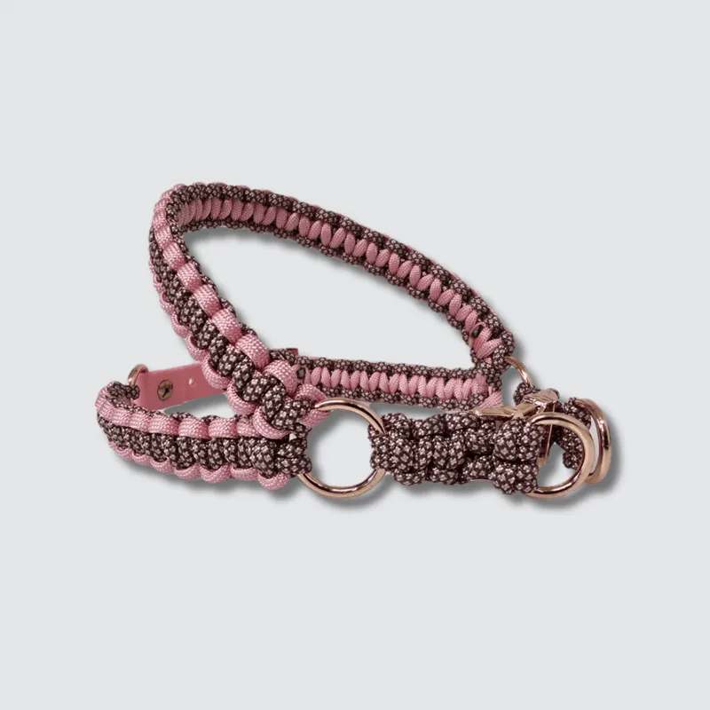 LabArt Dog Y 2.0 Provenza pettorina paracord biothane