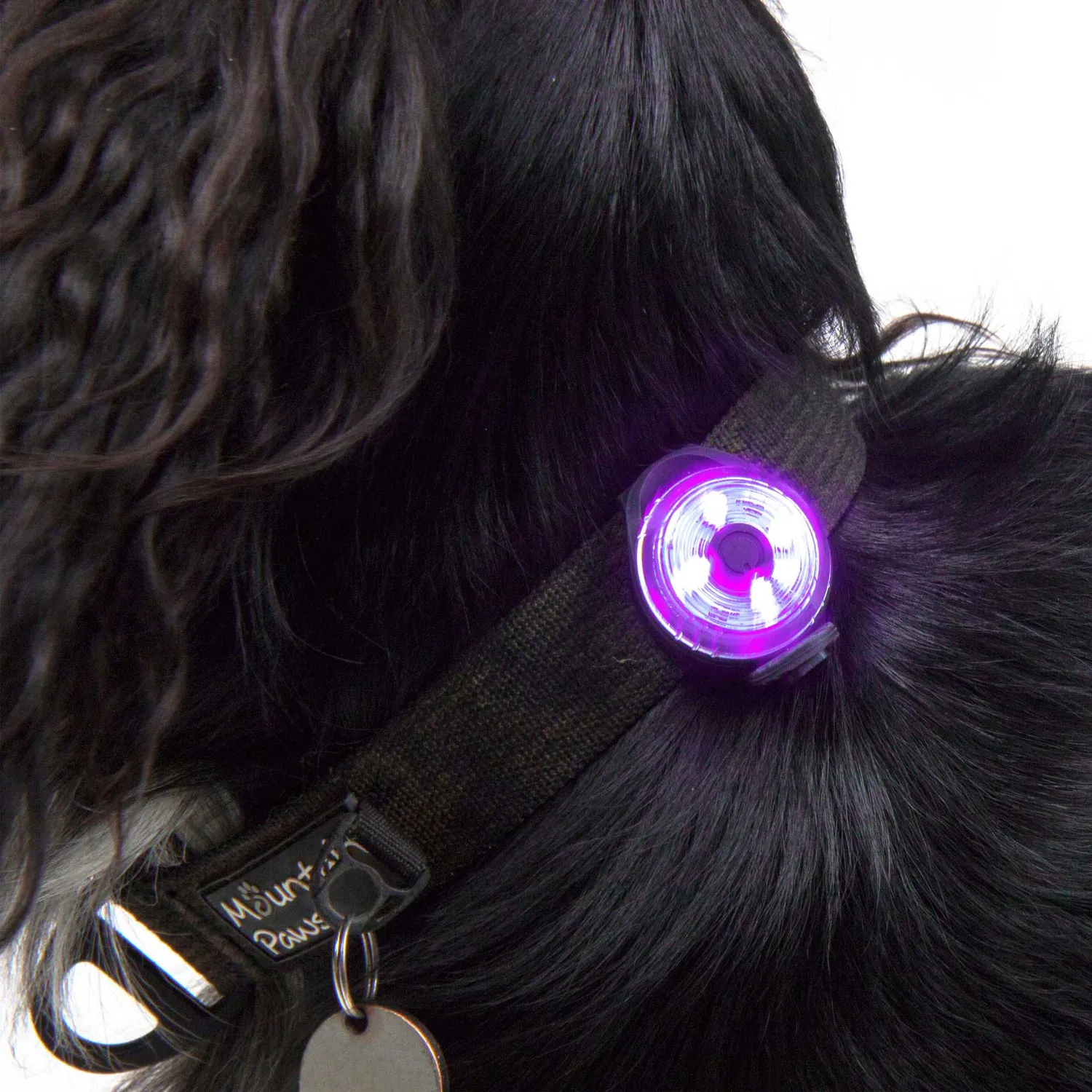Mountain Paws Luce Sicurezza Cane LED 1 Pezzo Resistente Acqua