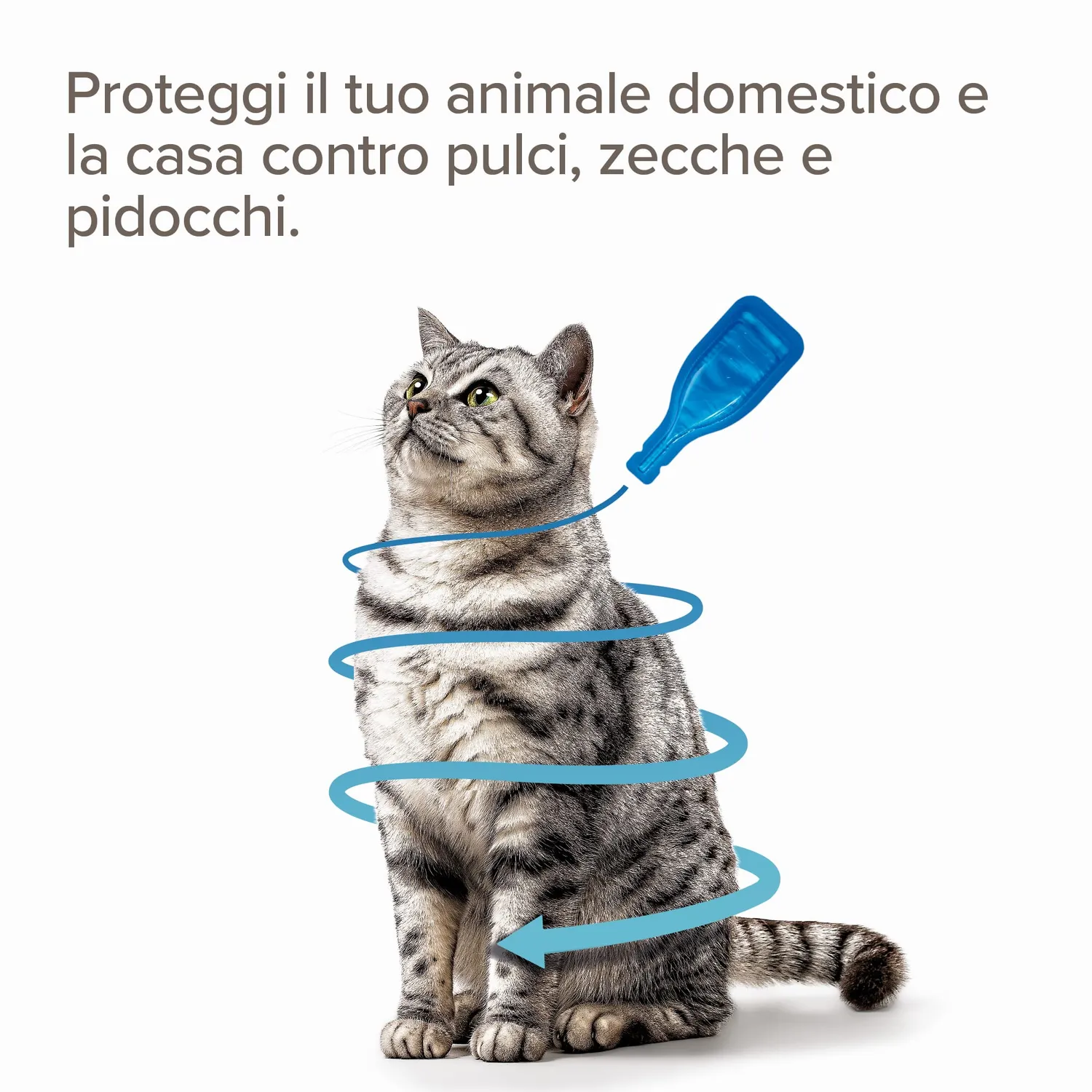 Beaphar Combotec antiparassitario gatti 3 pipette fipronil