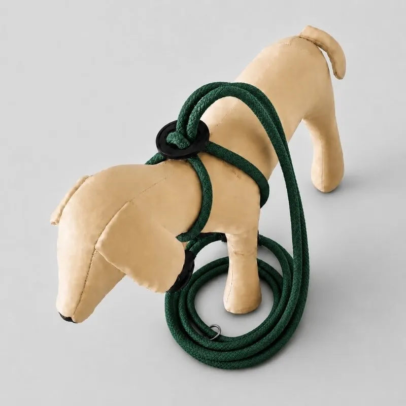 LabArt Dog EasyStride guinzaglio corda verde bosco