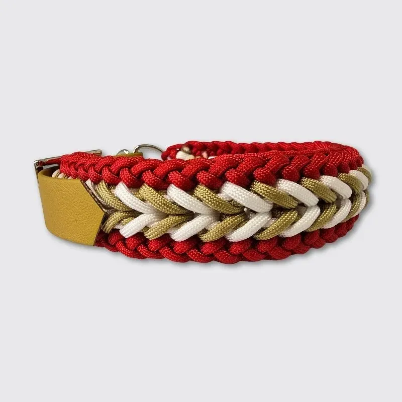 LabArt Dog Winner Christmas collare grande