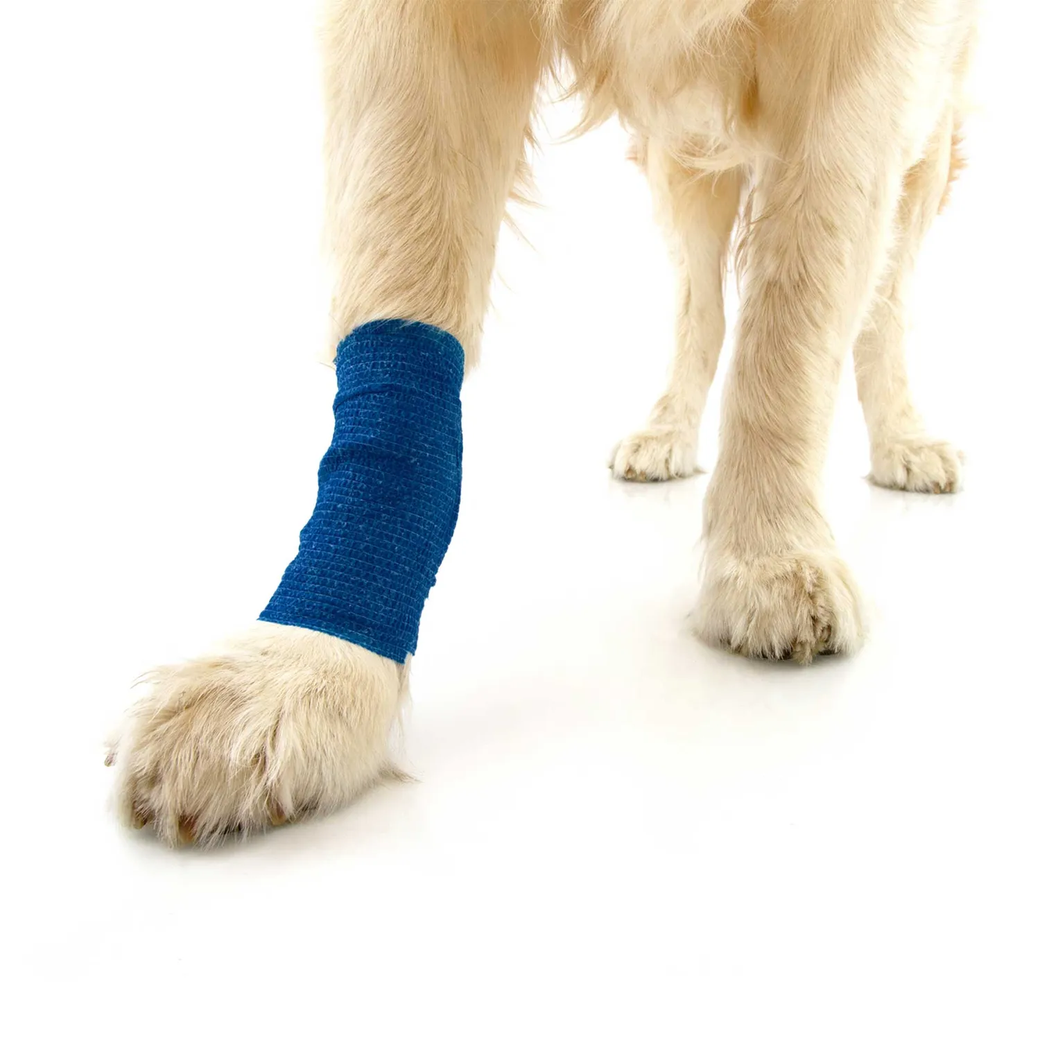 Mountain Paws benda cane coesiva blu 4,5cm x 4m