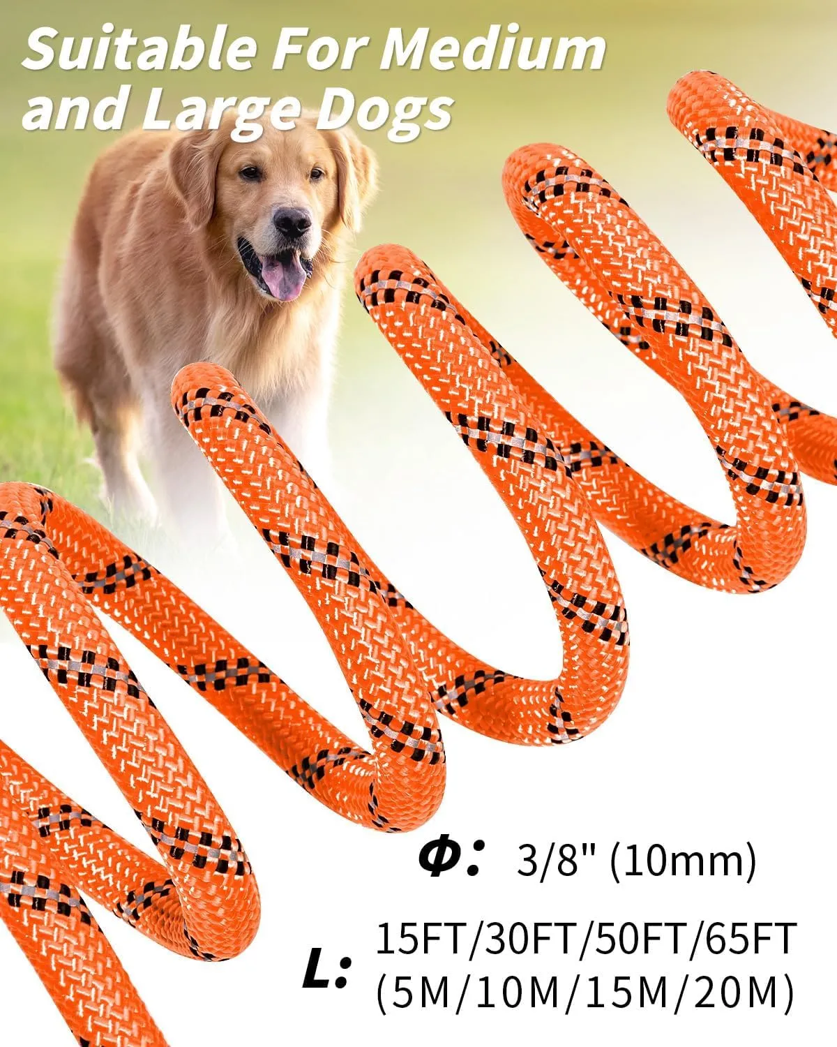 Joytale Guinzaglio Corda Addestramento Cane 5 m arancione