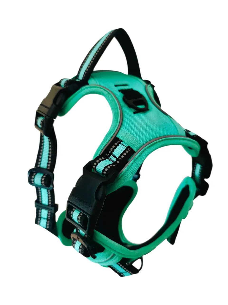 Anja for Dogs Plus pettorina verde acqua imbottita