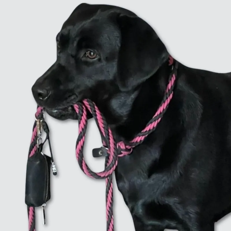 LabArt Dog Retriever 8 fili guinzaglio grande