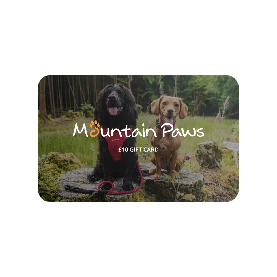 Mountain Paws E-Gift Card buono regalo cane digitale