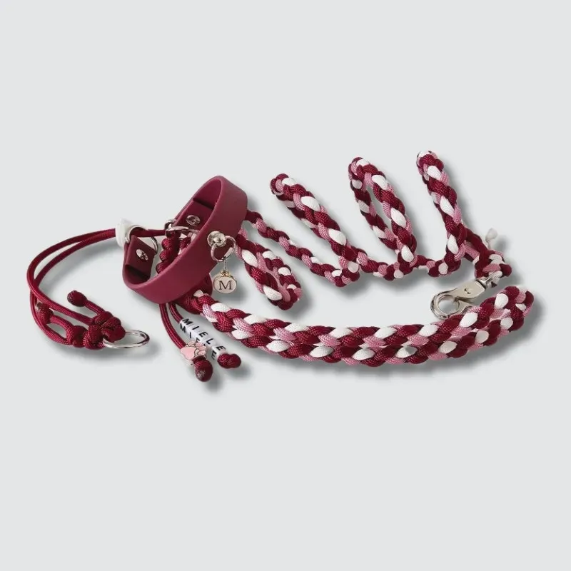 LabArt Dog Kit Cucciolo set guinzaglio + collare mini