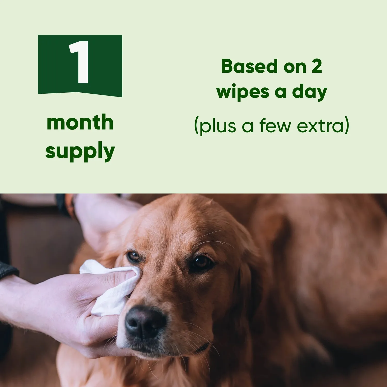 Beco Pets Salviette Occhi Cane Cetriolo e Aloe
