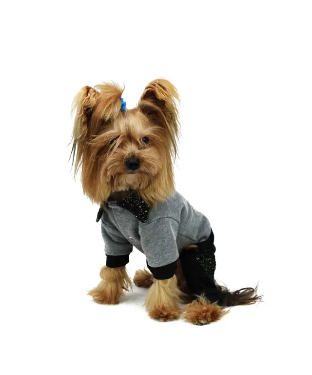 Royal Dog Superchic tutina per cani calda Chanel
