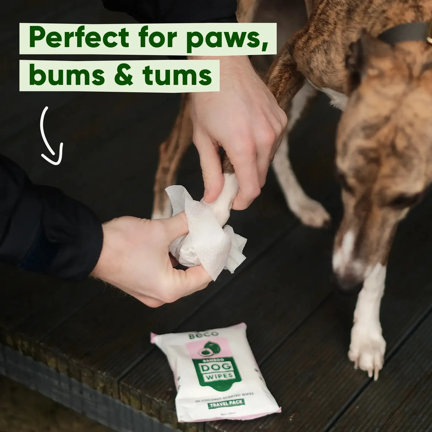 Beco Pets Salviette cane cocco neutre 80 pezzi spesse