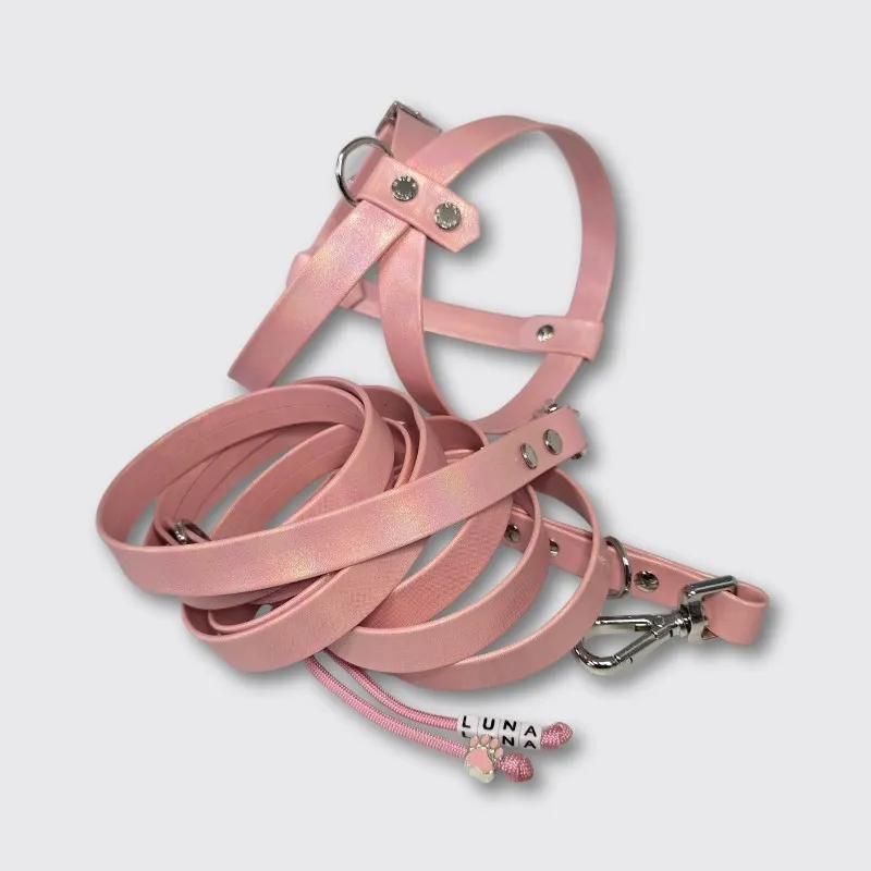 LabArt Dog Heritage guinzaglio ecopelle argento
