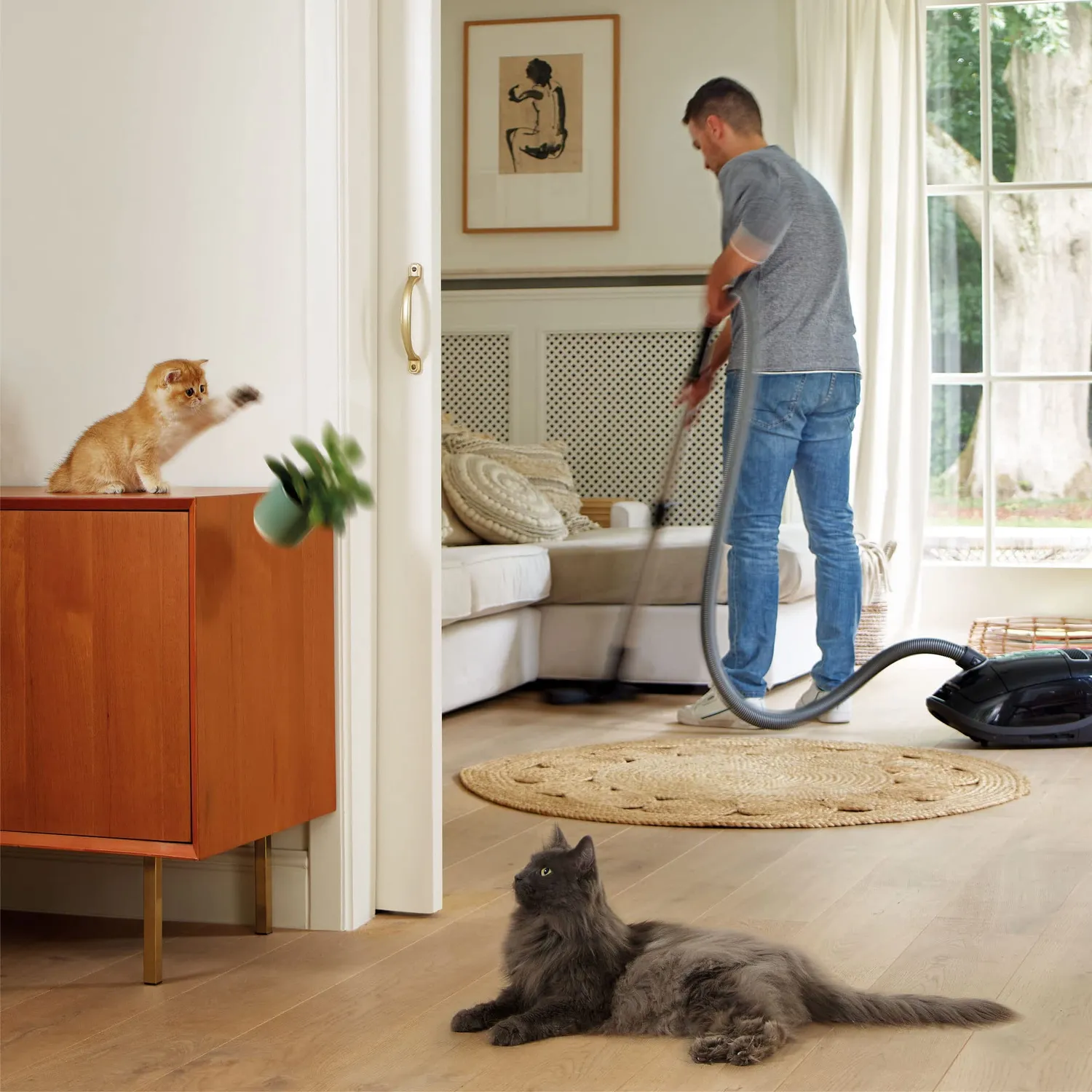 Beaphar CatComfort Excellence ricarica gatto 48 ml feromoni