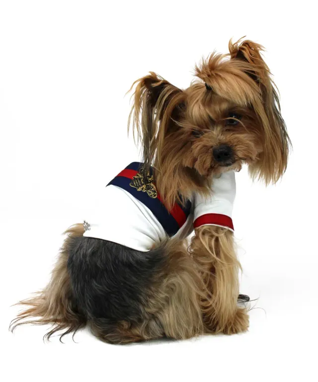 Royal Dog Bee T-Shirt cane jersey cotone