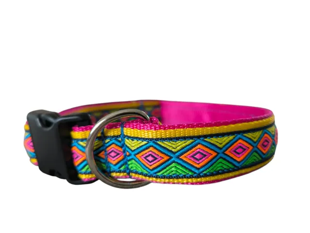 Anja for Dogs Stormy collare cane regolabile 3 cm