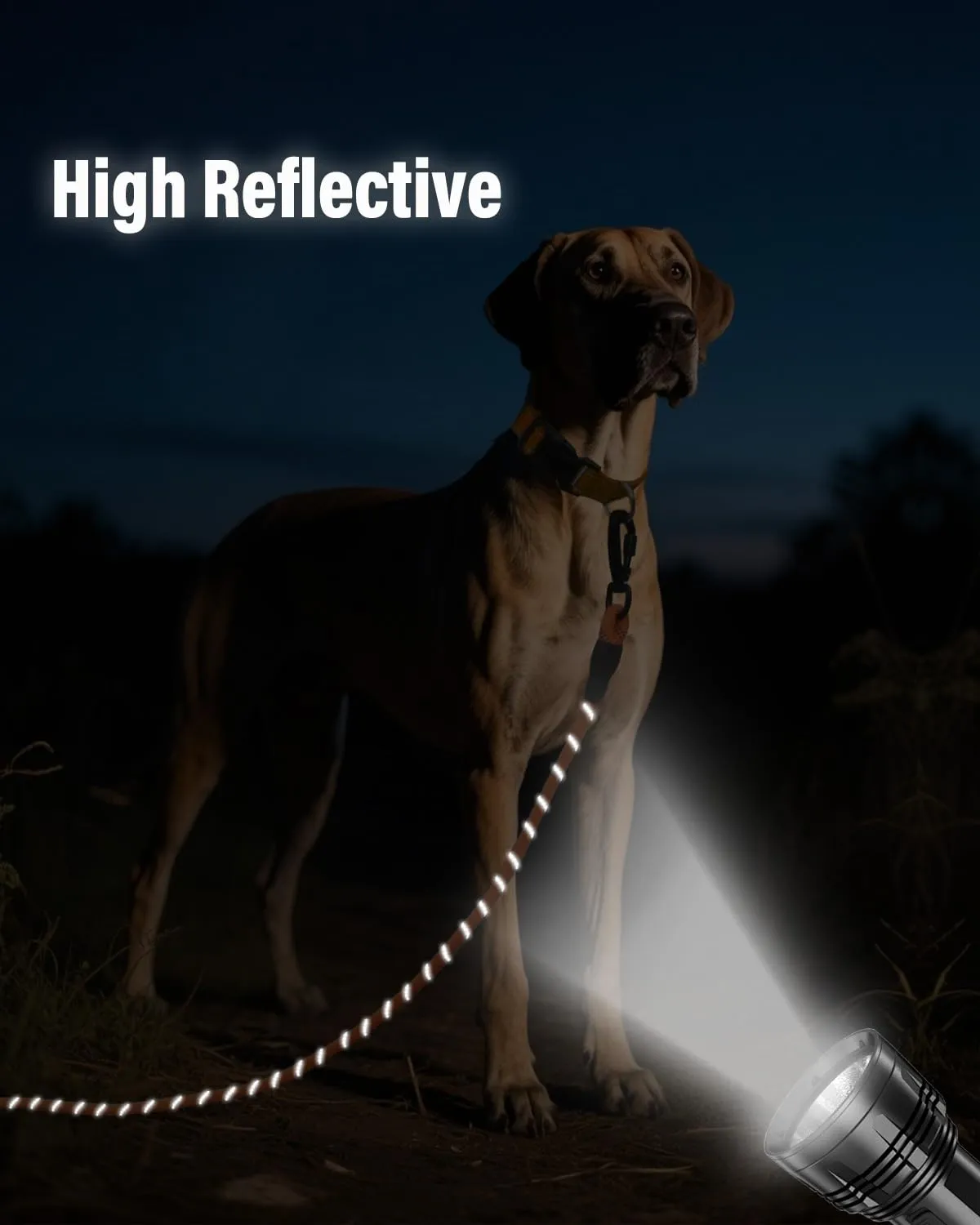 Joytale Guinzaglio Corda Addestramento Cane 5 m arancione