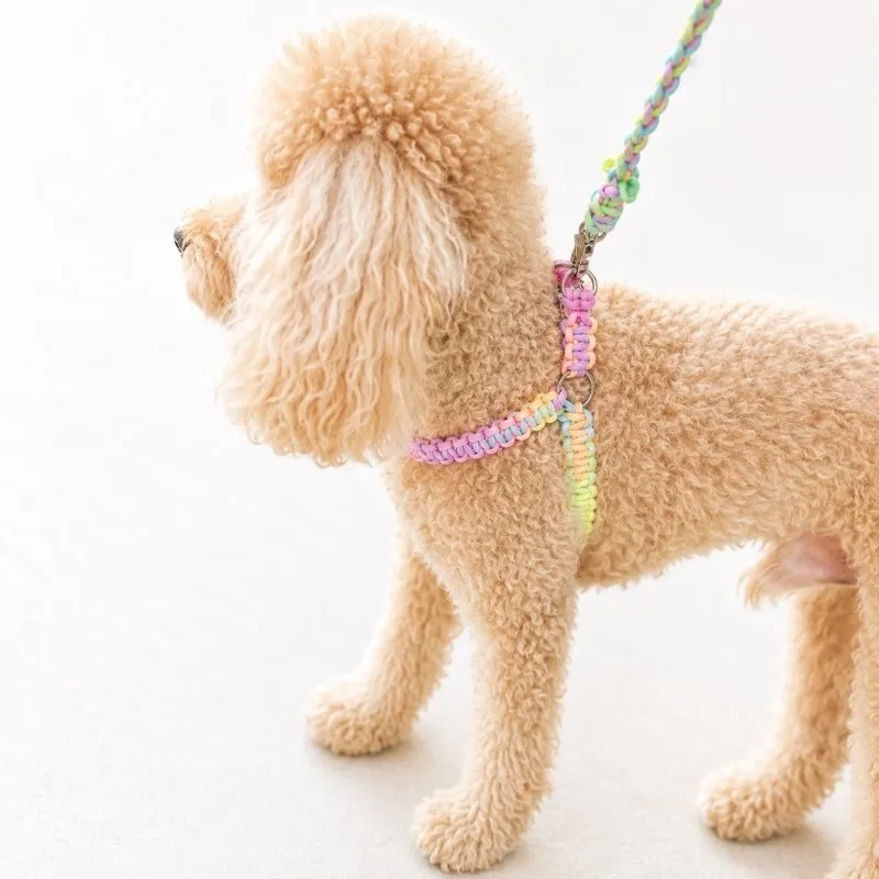 LabArt Dog Y 2.0 Agrigento pettorina paracord biothane