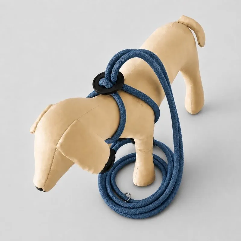 LabArt Dog EasyStride Denim guinzaglio in nylon 10 mm
