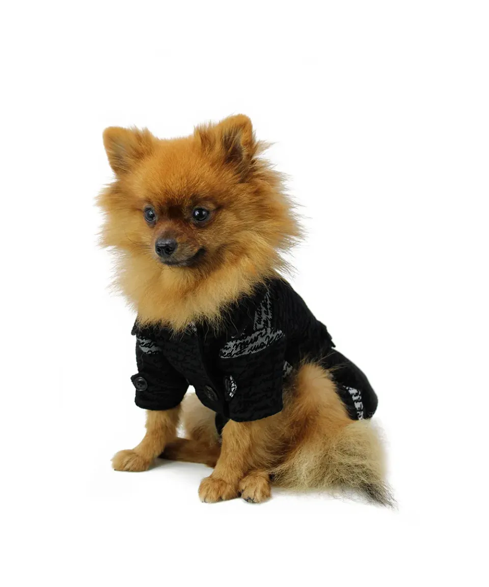 Royal Dog Words Girl trench rosa antipioggia
