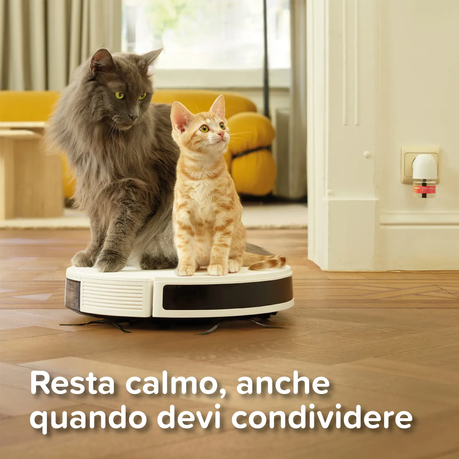 Beaphar CatComfort Excellence diffusore gatto kit 48 ml 70 mq