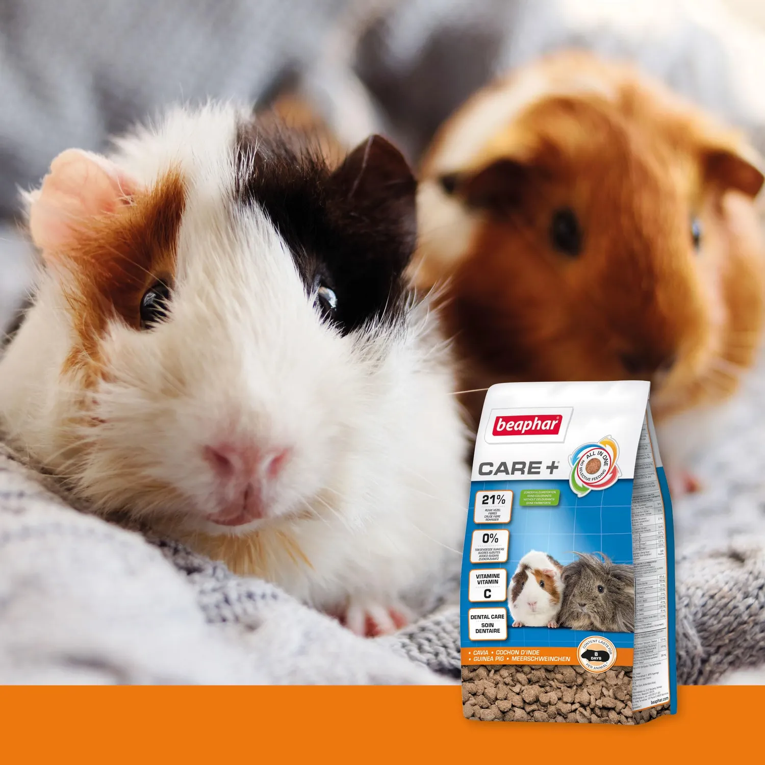 Beaphar CARE+ Guinea Pig Mangime 250 g con vitamina C