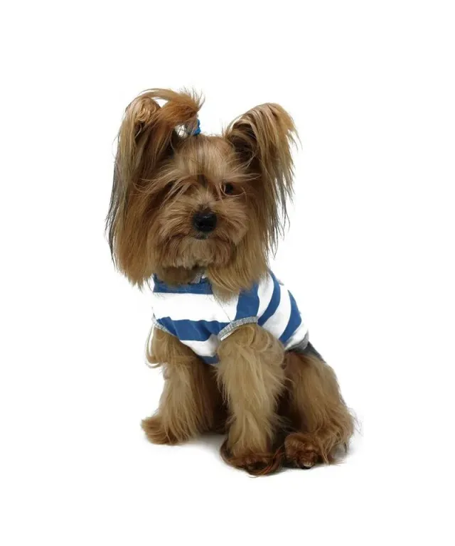 Royal Dog Lui & Lei celeste t-shirt cane cotone righe